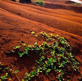 《星球大战前传1：幽灵的威胁》预购开启 明年上线